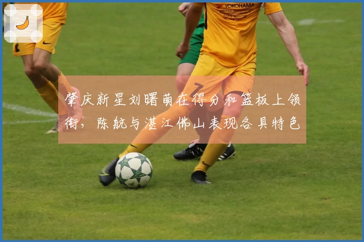 肇庆新星刘曙萌在得分和篮板上领衔，陈航与湛江佛山表现各具特色