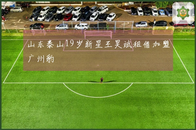 山东泰山19岁新星王昊斌租借加盟广州豹